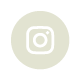 insta_icon